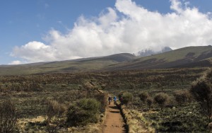 The lower slopes of Mount Kilimanjaro, Tanzania