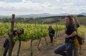 Wine tasting in Stellenbosch, South Africa