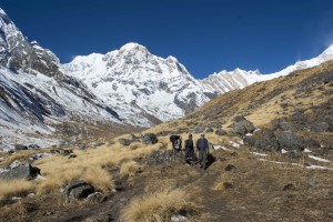 Returning from the highest point on the Annapurna Sanctuary trek