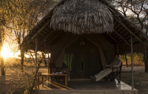 Luxury camping on safari in Tanzania