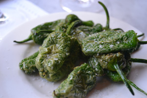 Padron Peppers Tapas, food at Jose's, London