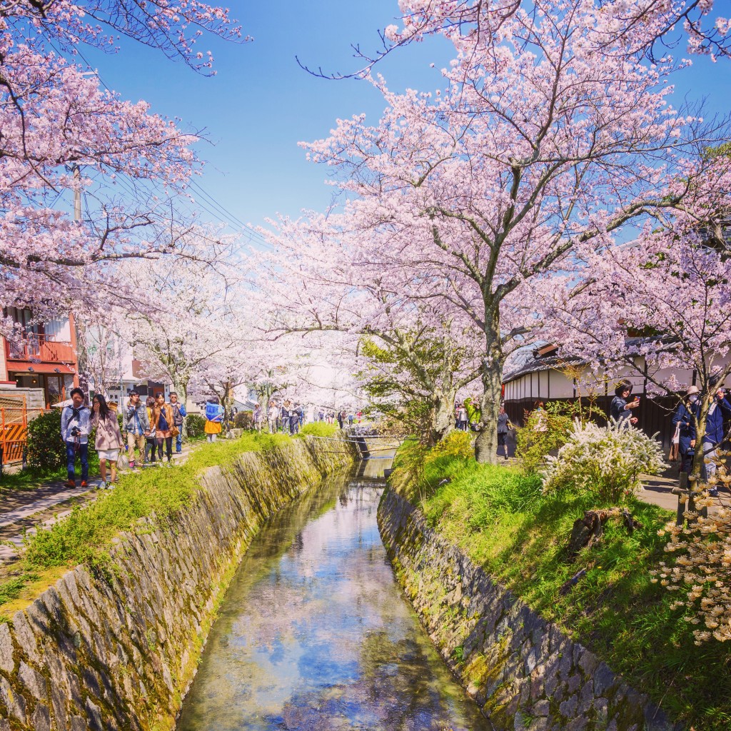 Nice Places To See In Japan