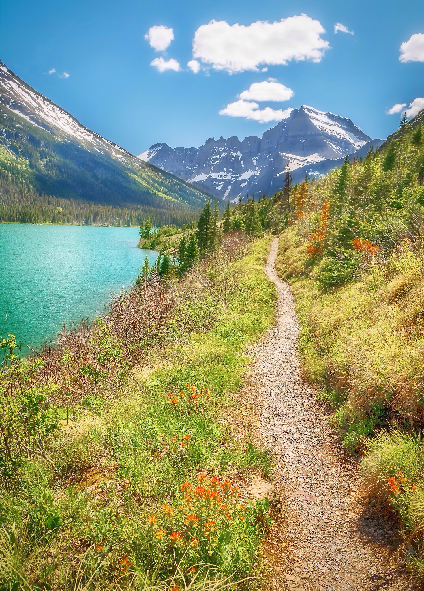 Meandering in Glacier National Park - Anwen Garston